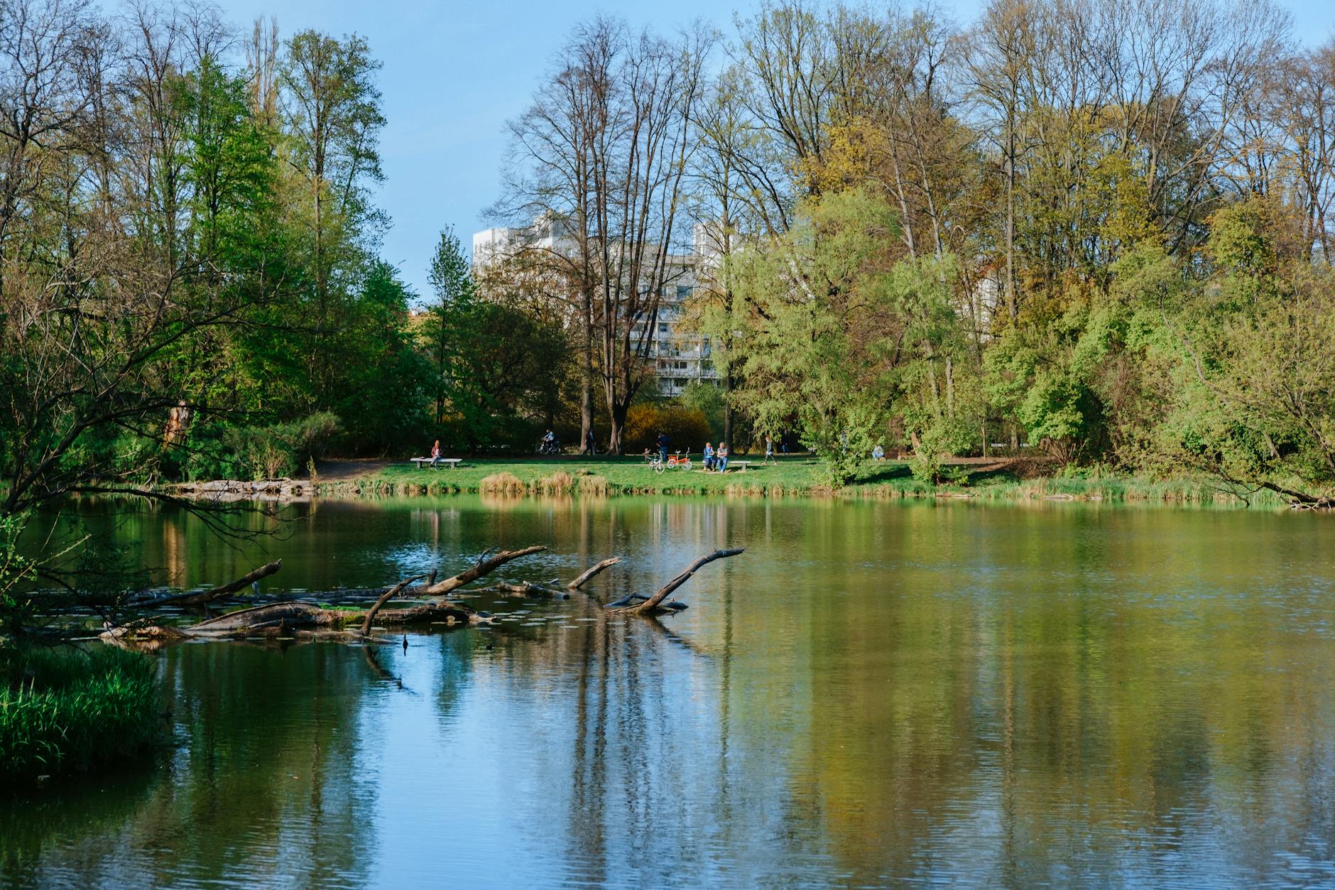 Kaip eko mokslas padeda atkurti suniokotus miesto ekosistemas: praktinis vadovas aplinkosaugininkams ir urbanistams